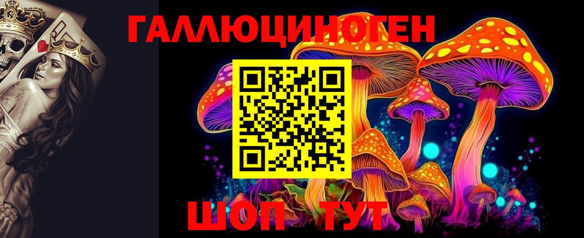 Галлюциногенные грибы Psilocybine cubensis Новошахтинск