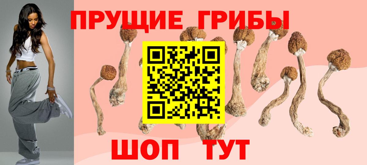 где найти   Псилоцибиновые грибы GOLDEN TEACHER  Вход с VPN  Галлюциногенные грибы мухоморы  Новошахтинск 